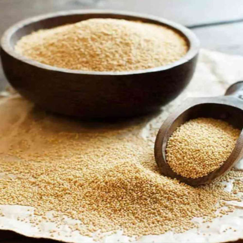 Premium Indian Millets - Healthy Grain Export
