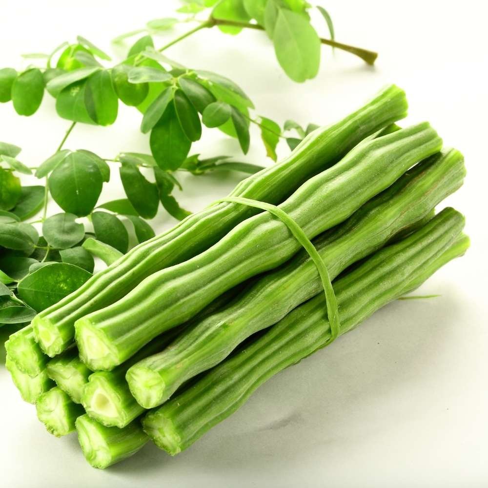 Premium Moringa Exporter - VISION GLOBAL TRADE